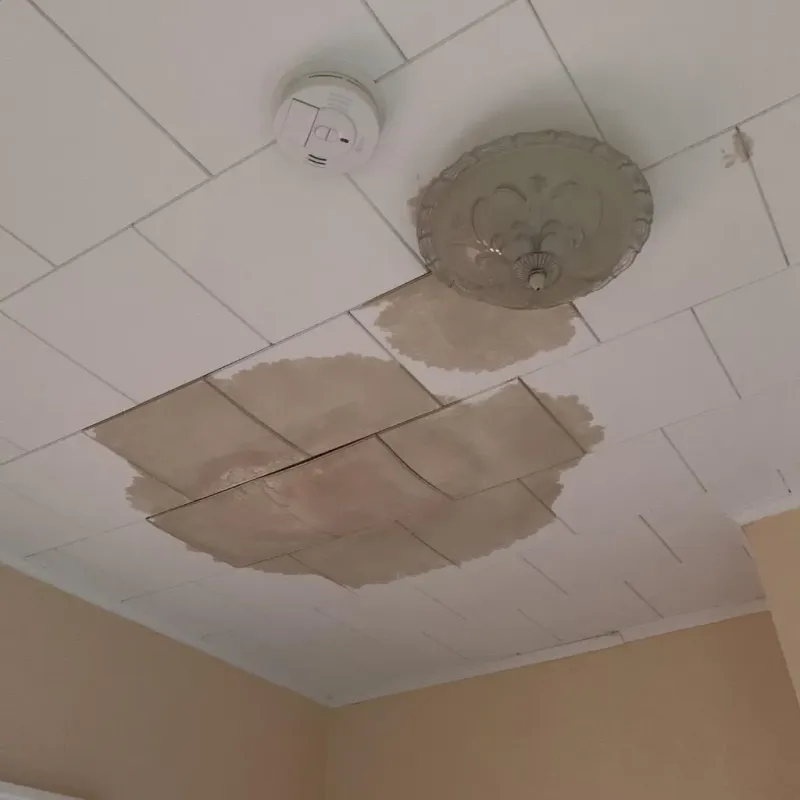 Ceiling Water Damage Repair in Ravensworth, VA