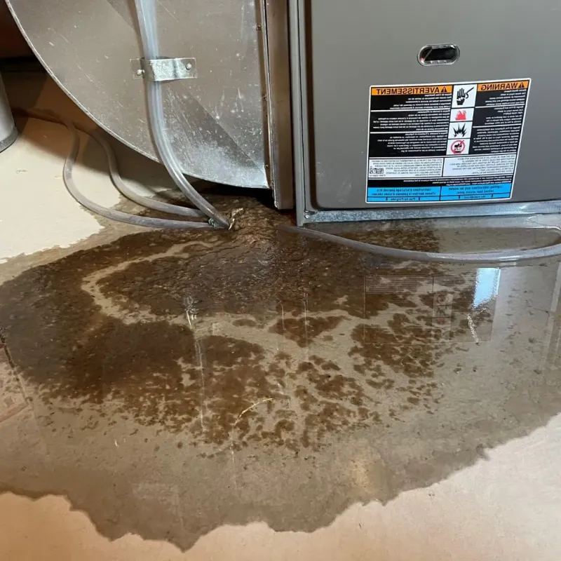Pipe Burst and Leak Restoration in Ravensworth, VA